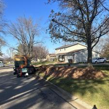 Detailed-and-Affordable-Leaf-Removal-Service-in-St-Peters-Missouri 1